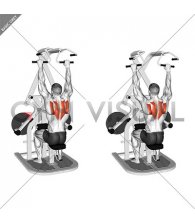 Lever Seated Scapular Retraction (plate loaded)