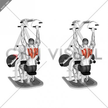 Lever Seated Scapular Retraction (plate loaded)