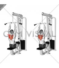Cable Seated Scapular Retraction
