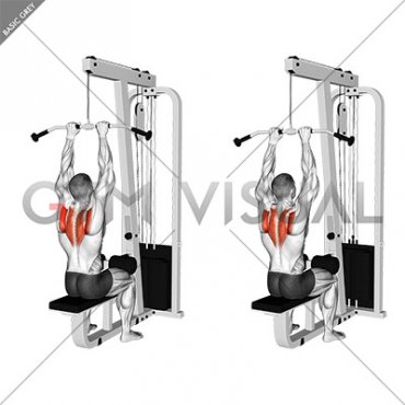 Cable Seated Scapular Retraction
