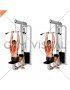 Cable Seated Scapular Retraction