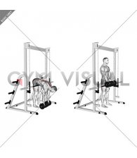 Dumbbell Hip Supported Romanian Deadlift (male)