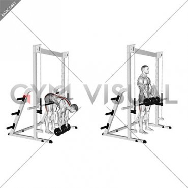 Dumbbell Hip Supported Romanian Deadlift (male)