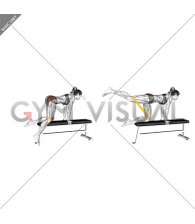 Resistance Band Kneeling Leg Kickback on bench (female)