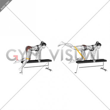 Resistance Band Kneeling Leg Kickback on bench (female)