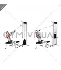 Cable Face Pull with External Rotation (male)