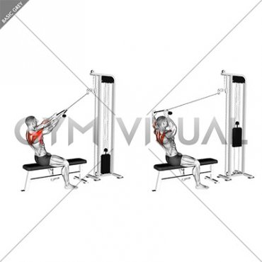 Cable Face Pull with External Rotation (male)