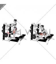 Lever Belt Bulgarian Split Squat (female)