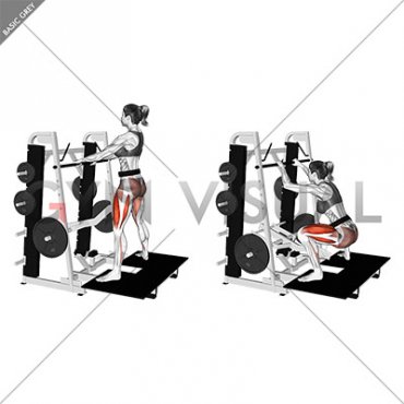 Lever Belt Sumo Squat (female)