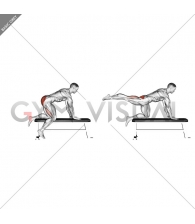 Bench Hip Extension