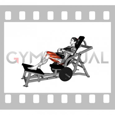 Lever Stagged Stance Hip Thrust (plate loaded) (female)