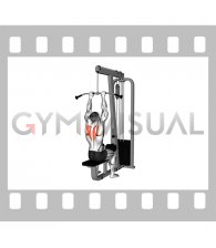 Cable Seated Scapular Retraction