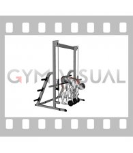 Dumbbell Hip Supported Romanian Deadlift (male)