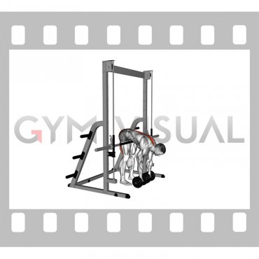 Dumbbell Hip Supported Romanian Deadlift (male)