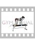 Resistance Band Kneeling Leg Kickback on bench (female)