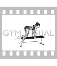 Resistance Band Kneeling Leg Kickback on bench (female)