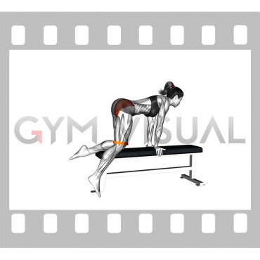Resistance Band Kneeling Leg Kickback on bench (female)
