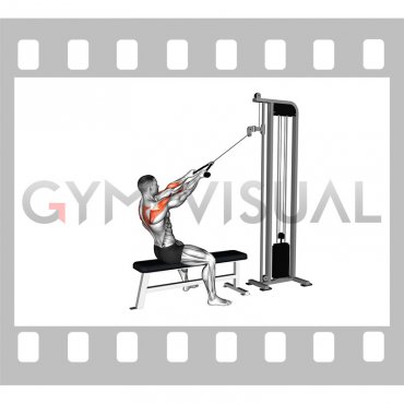 Cable Face Pull with External Rotation (male)