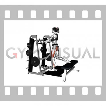 Lever Belt Bulgarian Split Squat (female)