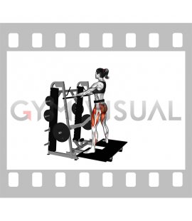 Lever Belt Sumo Squat (female)