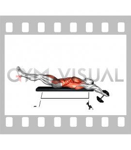 Dumbbell Lying Bench Pullover Leg Raise (male)