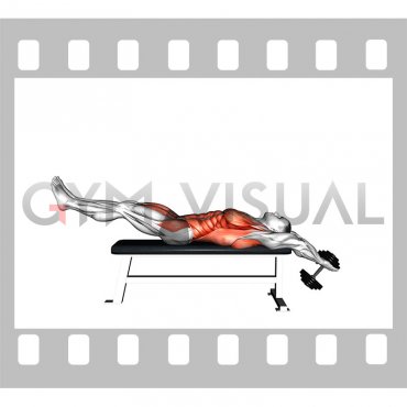 Dumbbell Lying Bench Pullover Leg Raise (male)