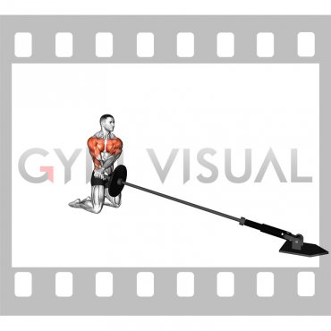 Landmine Kneeling 180s (male)