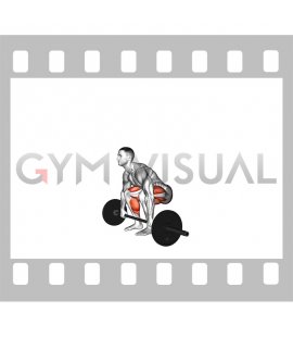 Barbell 2 3 Deadlift