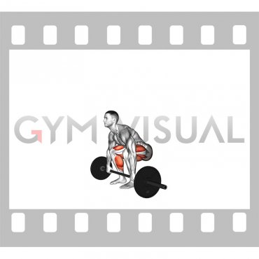 Barbell 2 3 Deadlift