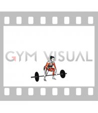 Barbell Clean and Jerk (female)