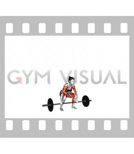 Barbell Clean and Jerk (female)