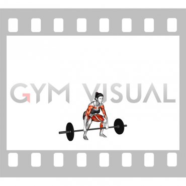 Barbell Clean and Jerk (female)