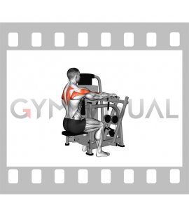 Lever Seated Delt Row (male)