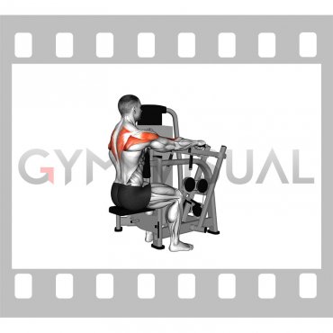 Lever Seated Delt Row (male)