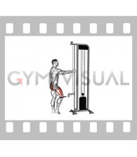 Cable Standing Single Leg Knee Extension (male)