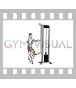 Cable Standing Single Leg Knee Extension (male)