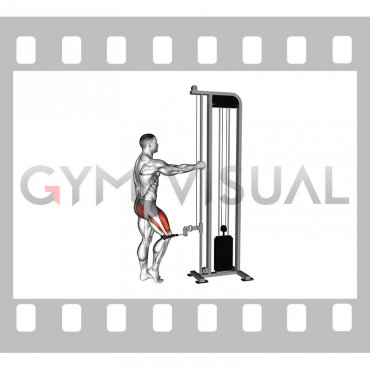 Cable Standing Single Leg Knee Extension (male)