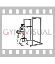 Bodyweight Glute Dominant Step Up