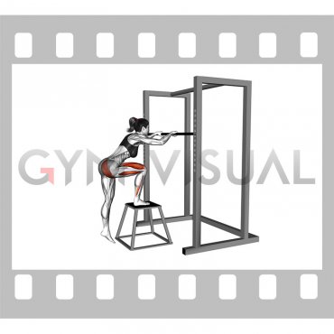 Bodyweight Glute Dominant Step Up