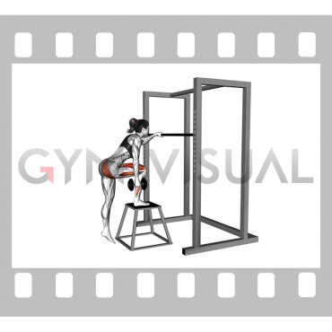 Dumbbell Glute Dominant Step Up