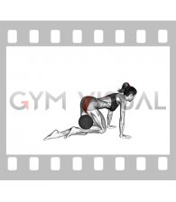 Medicine Ball Kneeling Glute Press (female)