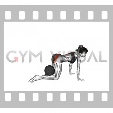 Medicine Ball Kneeling Donkey Kick (female)