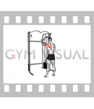 Cable 45 degrees Single Arm Reverse Grip Reverse Fly (male)