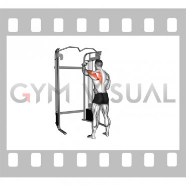 Cable 45 degrees Single Arm Reverse Grip Reverse Fly (male)