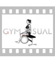 Sitting Isometric Hamstring Curl Hold with Exercise Ball (female)