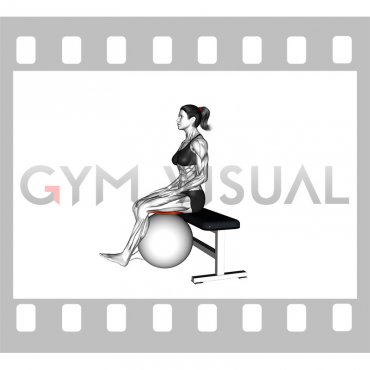 Sitting Isometric Hamstring Curl Hold with Exercise Ball (female)