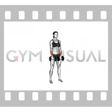 Dumbbell Standing Wrist Reverse Curl (female)