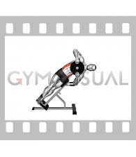 Weighted Plate 45 degrees Side Bend