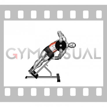 Weighted Plate 45 degrees Side Bend