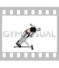 Weighted Plate 45 degrees Side Bend (female)